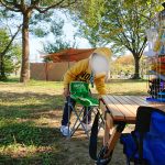 行楽日和の休日は公園でランチ